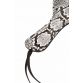 PADDLE ASPECT CUIR SERPENT - SPAZM 