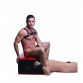 CHAISE FACESITTING QUEENING/KINGING - MASTER SERIES 
